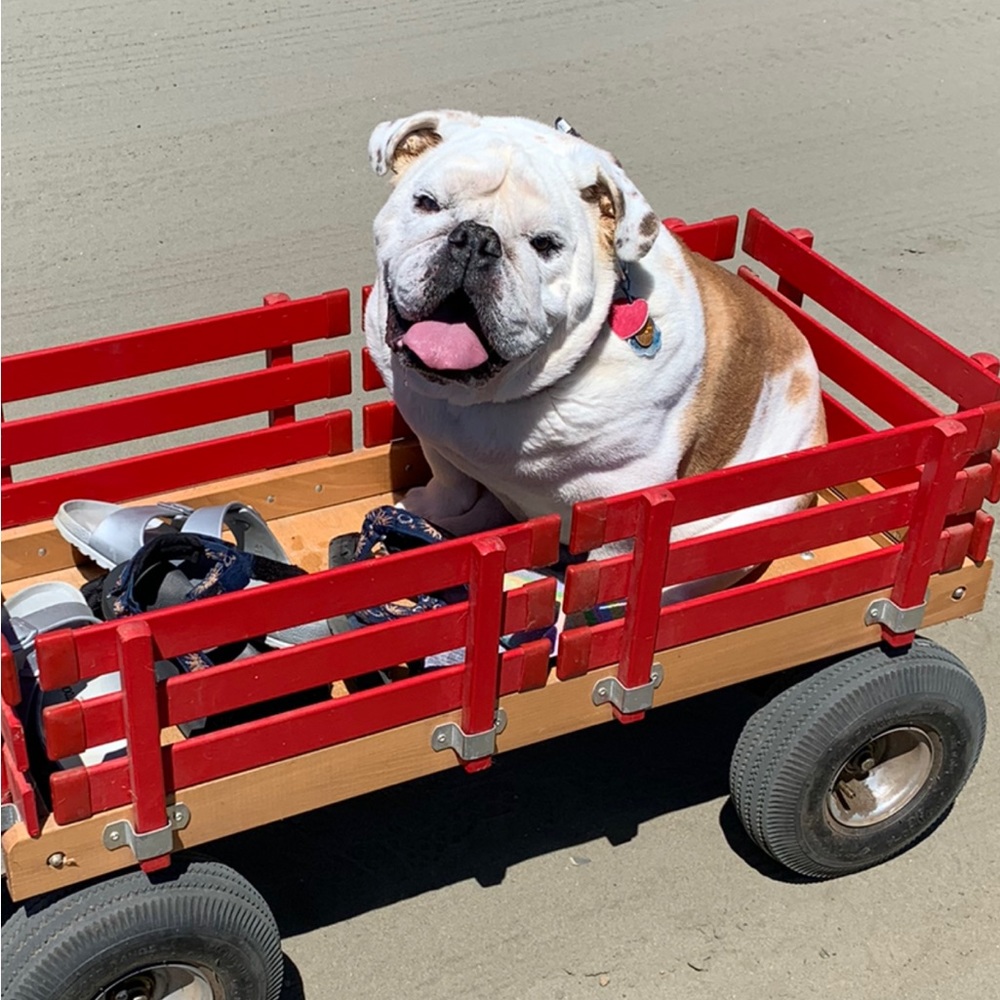 Wheelin’ Deal’n
